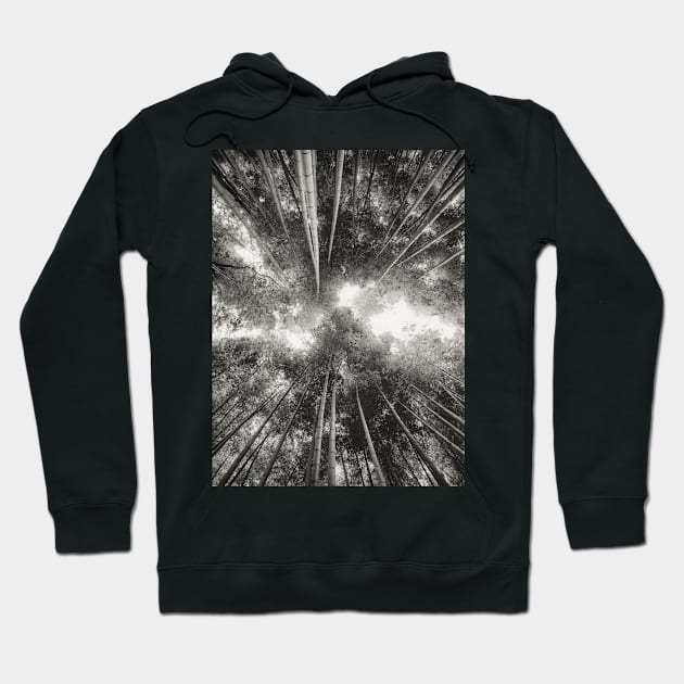 Bamboo Forest (black and white) Hoodie by hraunphoto